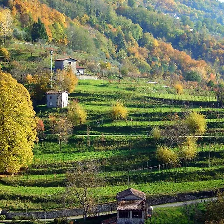 B&B Eliseo Ristorante 칼리카노