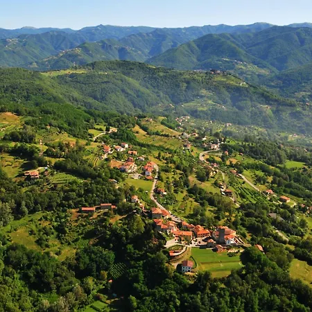 Eliseo Ristorante B&B 칼리카노